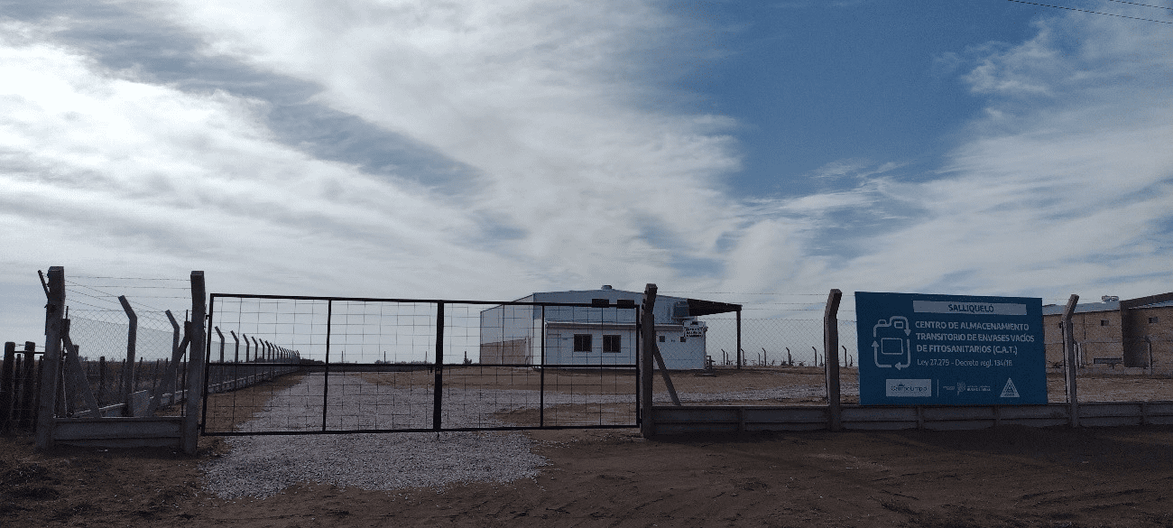 CAT SALIQUELLO - BUENOS AIRES