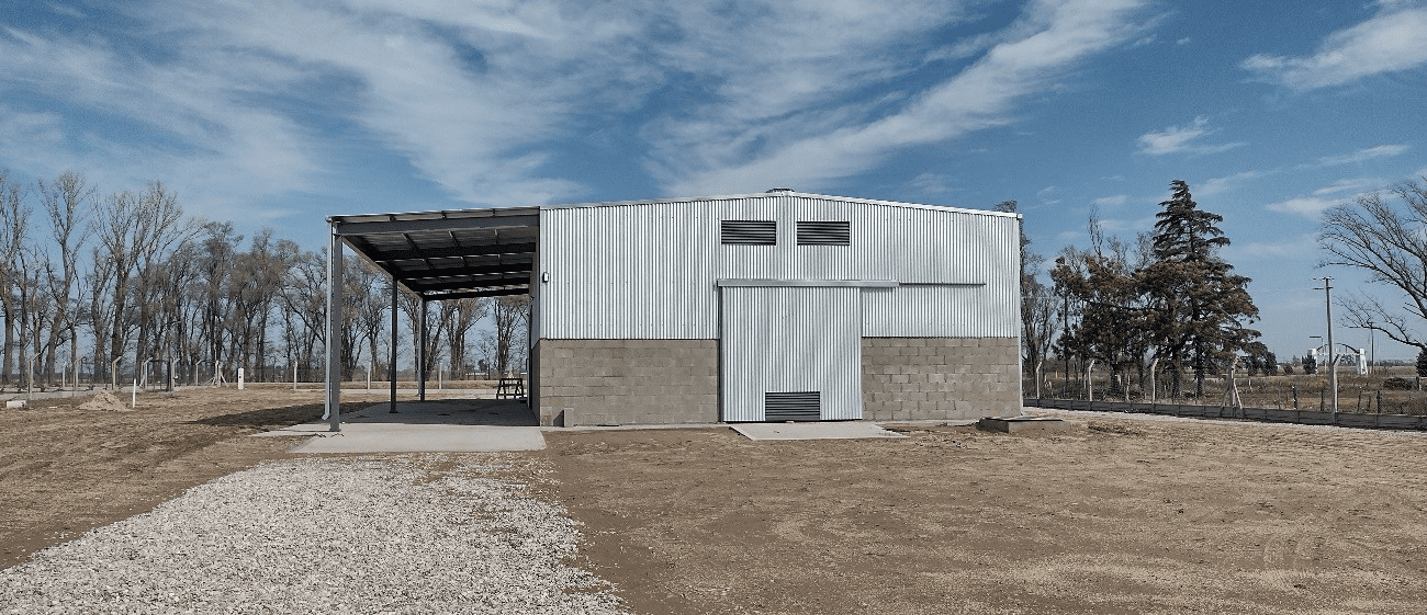 CAT SALIQUELLO - BUENOS AIRES