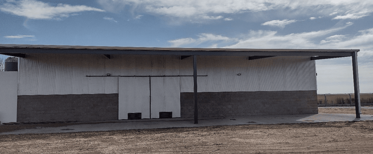 CAT SALIQUELLO - BUENOS AIRES