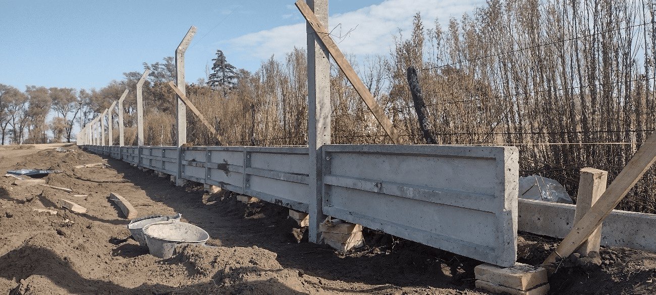 CAT SALIQUELLO - BUENOS AIRES