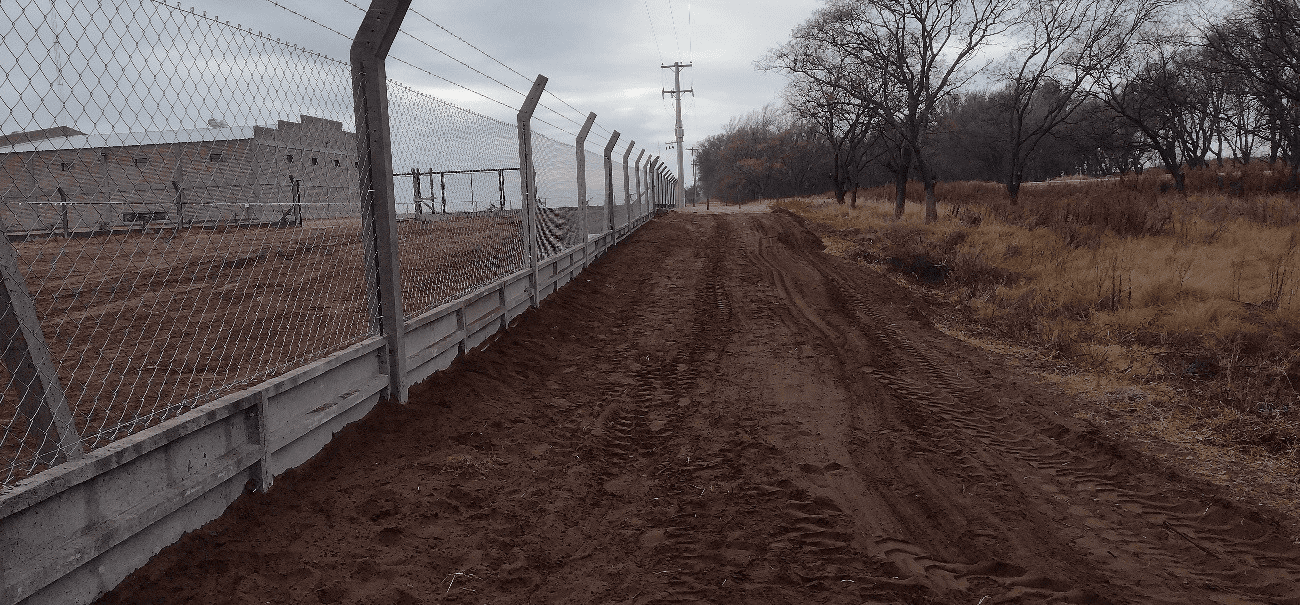 CAT SALIQUELLO - BUENOS AIRES