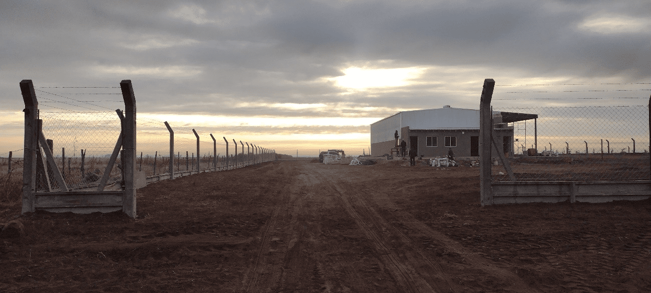CAT SALIQUELLO - BUENOS AIRES