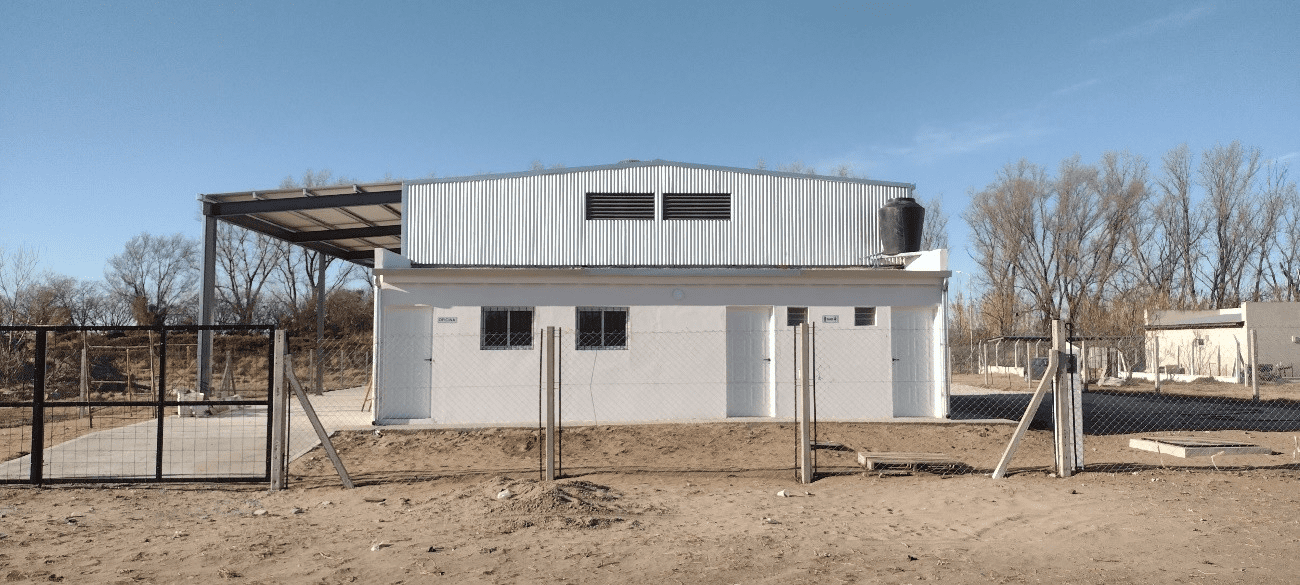 CAT PELLEGRINI - BUENOS AIRES