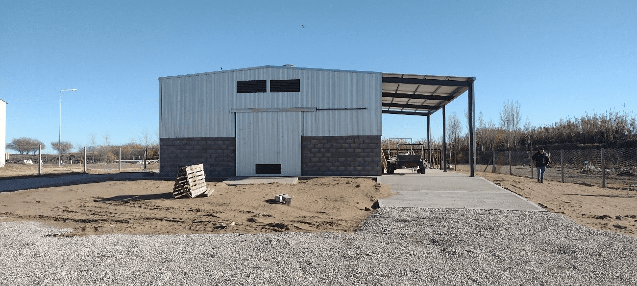 CAT PELLEGRINI - BUENOS AIRES