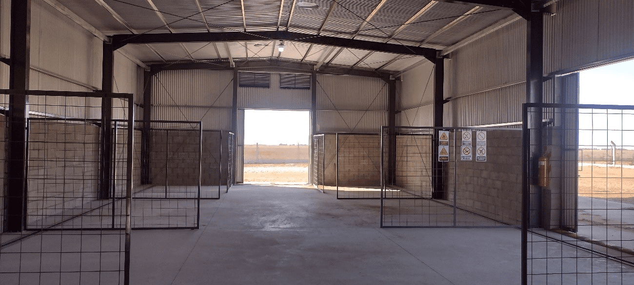 CAT PELLEGRINI - BUENOS AIRES